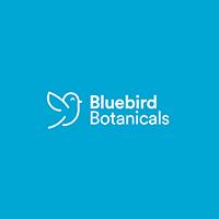 Bluebird's New Look