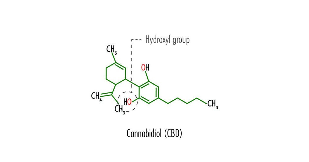 CBD vs. THC: What’s the Difference Between These Cannabis Compounds?