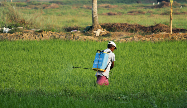 spraying pesticide