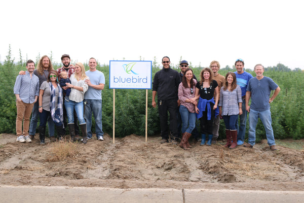 Bluebird team visiting a hemp farm