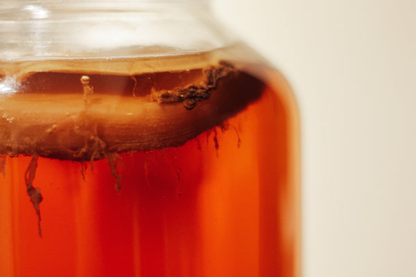 Jar of kombucha