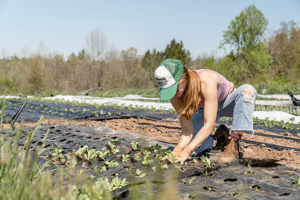 Bluebird Botanicals Regenerative Agriculture