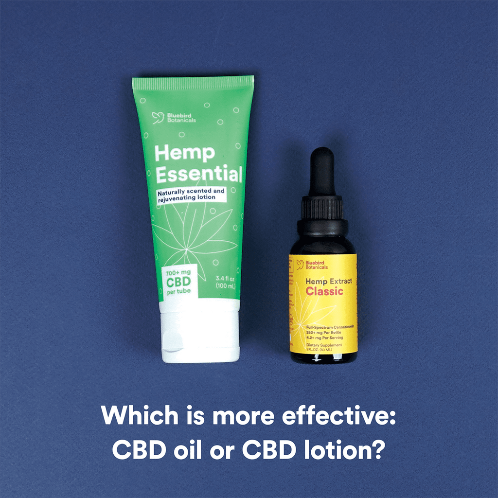 CBD Oil vs CBD Lotion: Which is Better?