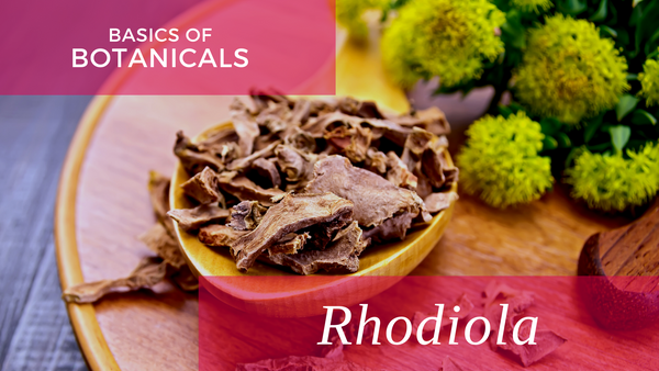 basics of botanicals - rhodiola