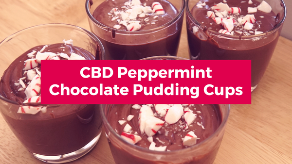 cbd peppermint chocolate pudding cups