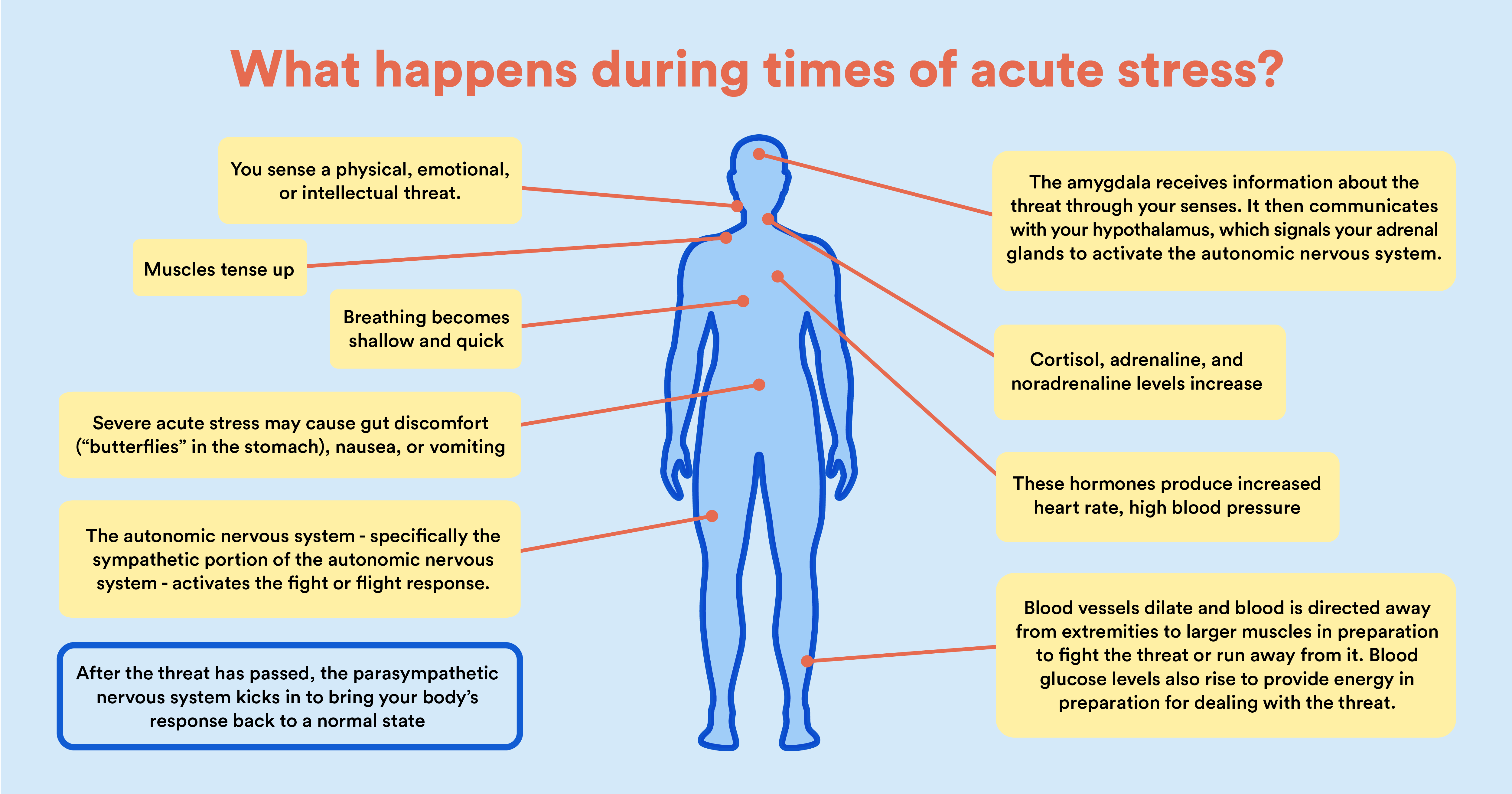 effects-of-stress-on-the-body