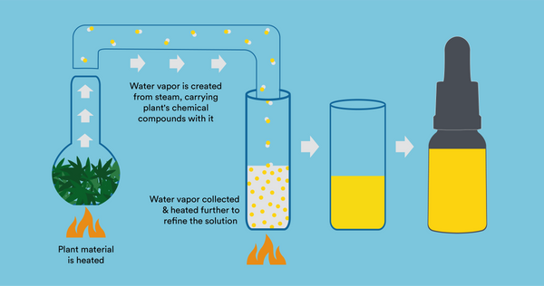 steam distillation