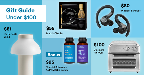 gifts under $100