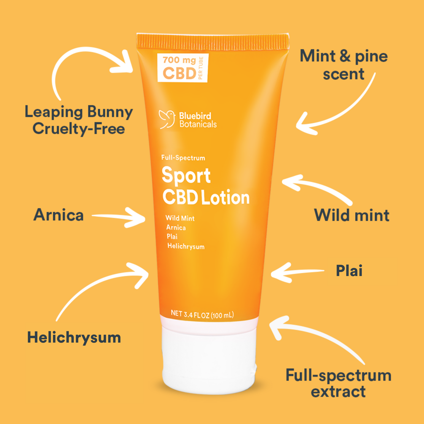 Sport CBD Lotion