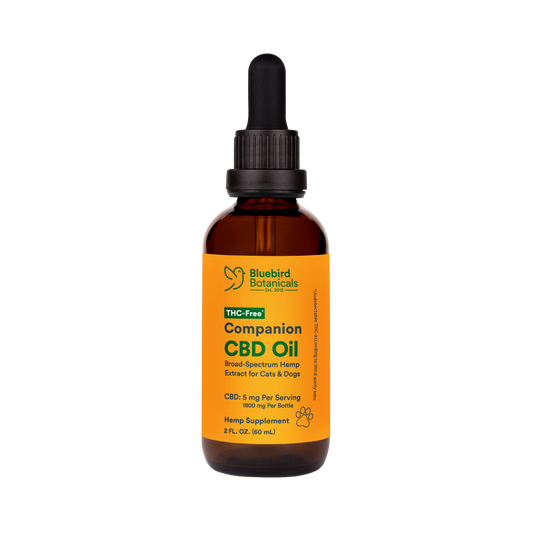 CBD Oil for Pets  Bluebird Botanicals   