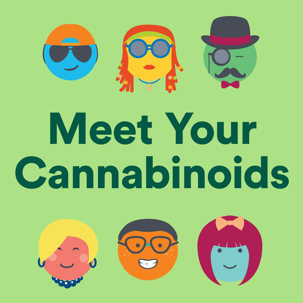 There’s More Than CBD: Meet the “Big Six” Phytocannabinoids