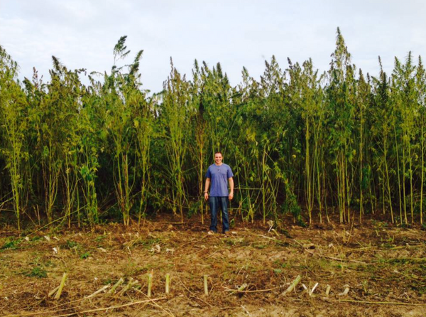 Brandon Beatty visiting European hemp farm