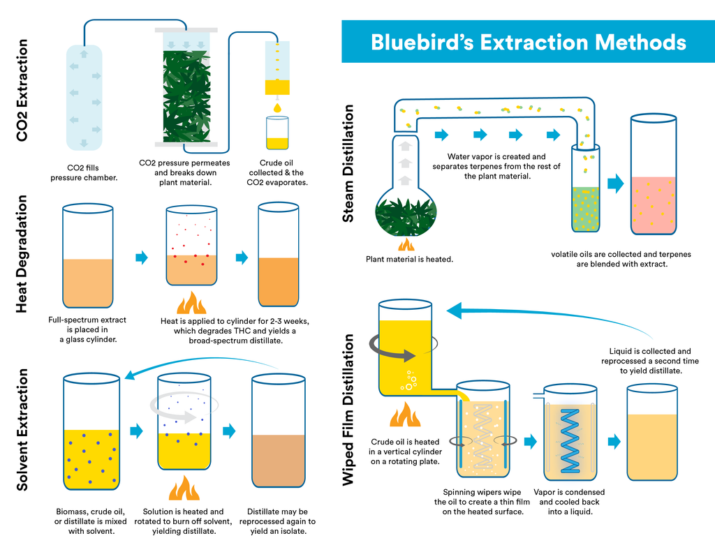 cbd extraction