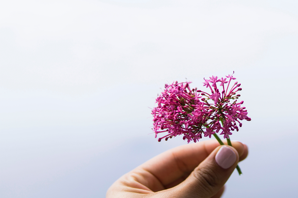 All About Valerian